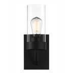 Zephyr Single Light Sconce With Clear Glass Metal