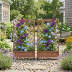 Raised Garden Bed with Trellis 2 Pack