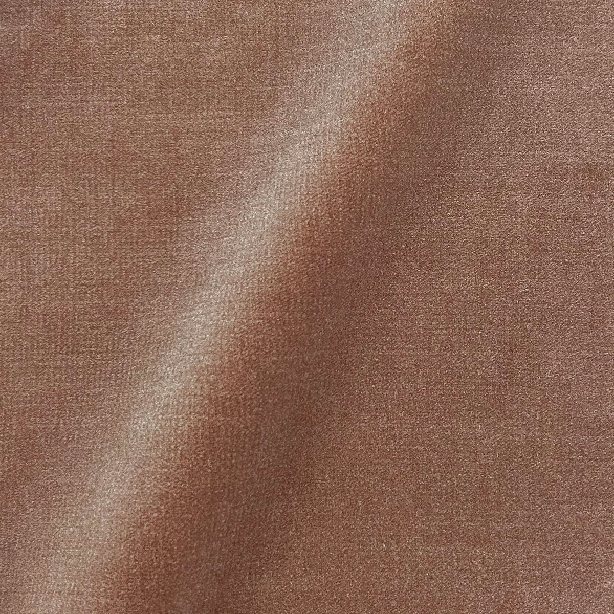 Soft Embrace Bed