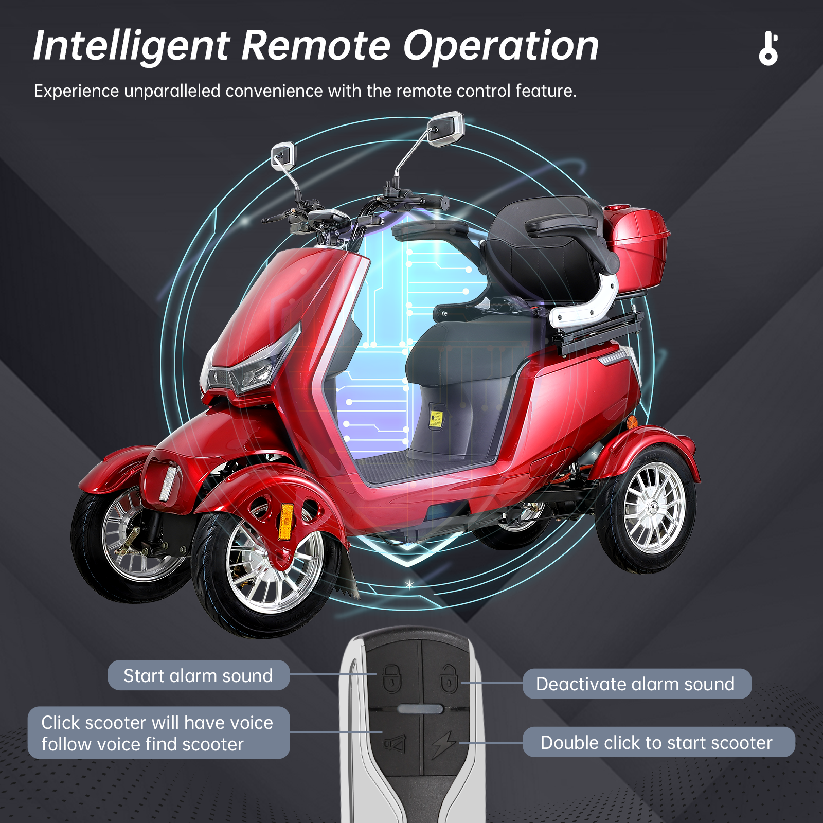 Electric Mobility Scooter with Big Size, High Power