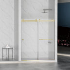 Frameless Shower Door with Double Sliding Mechanism