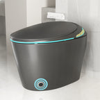 Unique Smart Toilet with Built-in Bidet