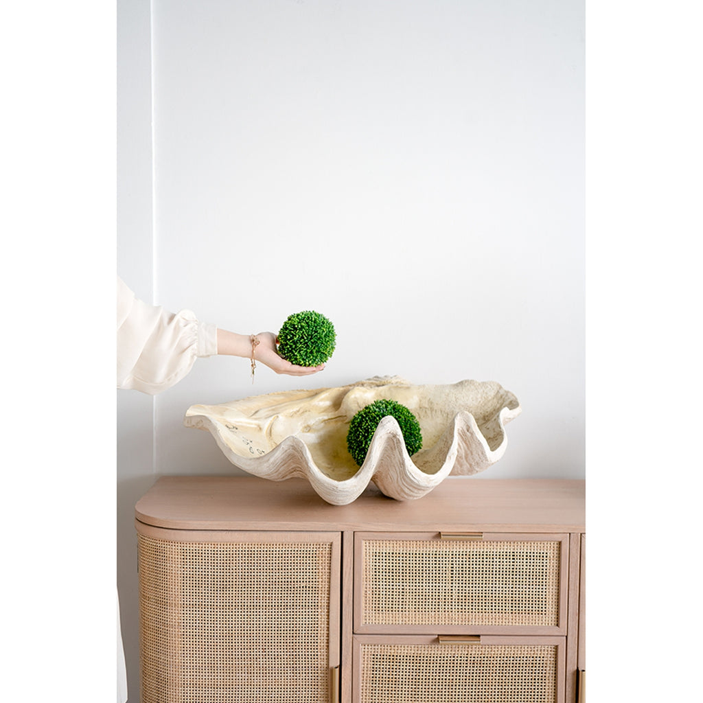 Large Clam Shell Accent