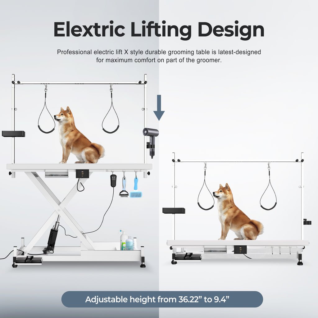 Professional Electric Pet Grooming Table