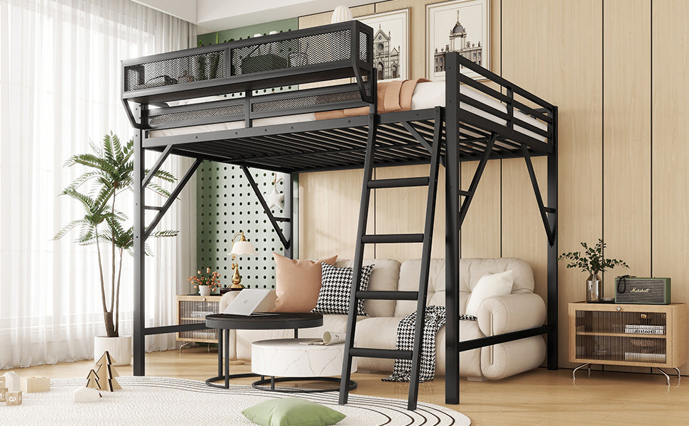 Full Size Loft Bed with Ladder