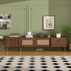 Modern Rattan Doors TV Stand for TVs up to 85 Inches