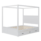 Modern Queen Size Canopy Platform Bed with Trundle