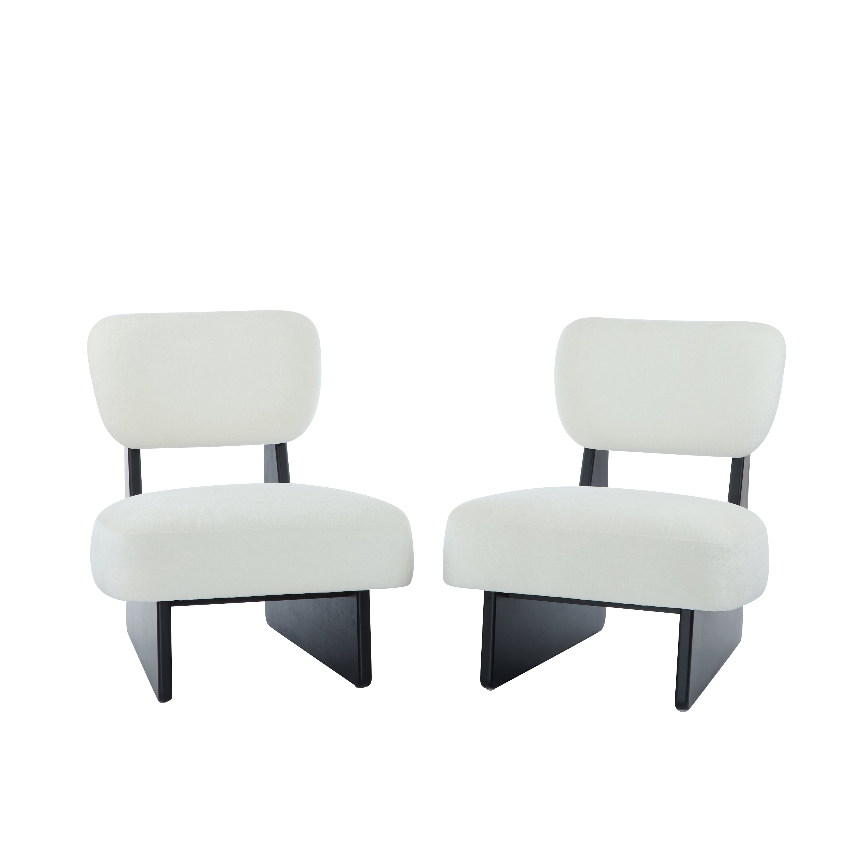 Set of 2 Modern Chairs