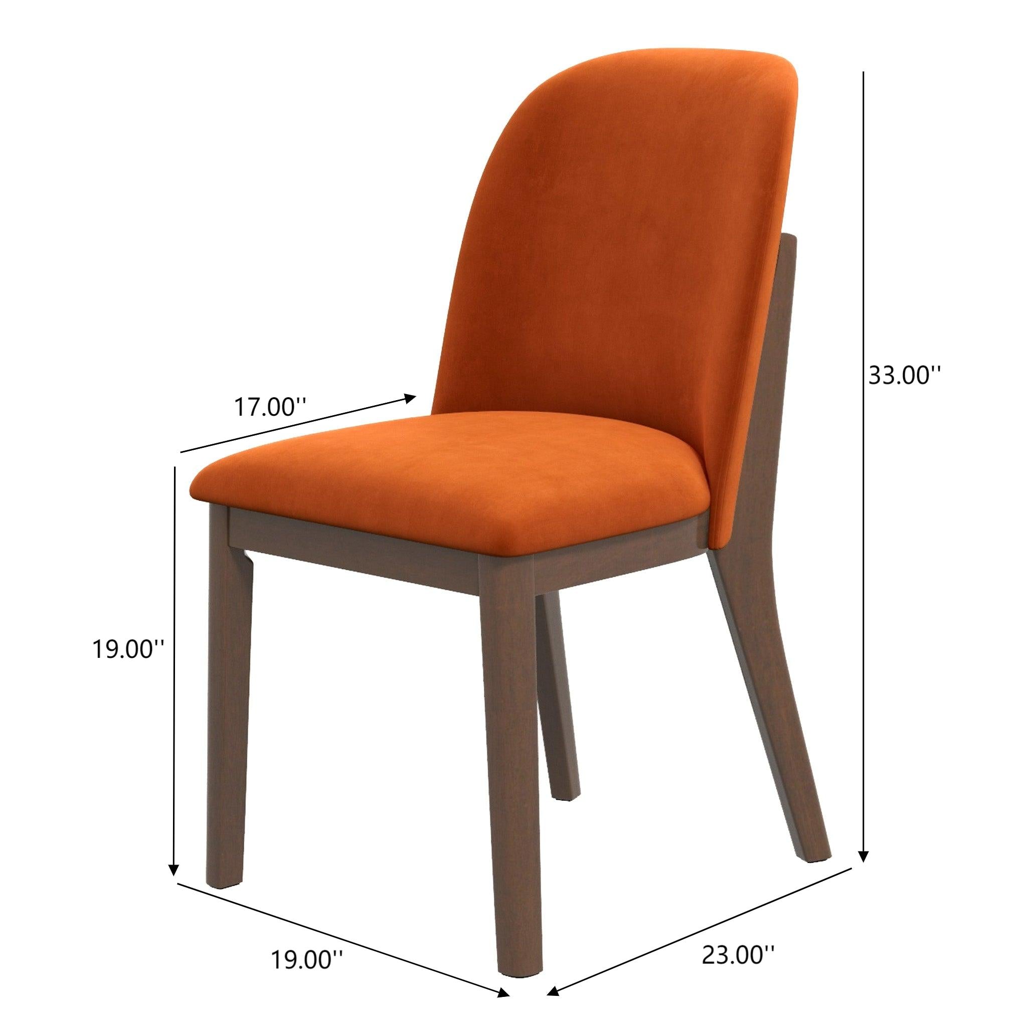 Kaitlyn Burnt Velvet Dining Chairs - Set of 2