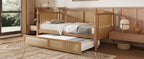 Traditional Style Rattan Full Size Daybed with Trundle