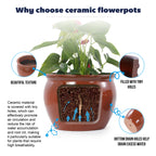 Handmade Rust-Red Ceramic Plant Pots Set of 3