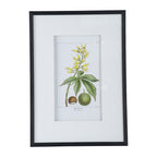 19.7x27.6" Botanical Wall Art Set of 2