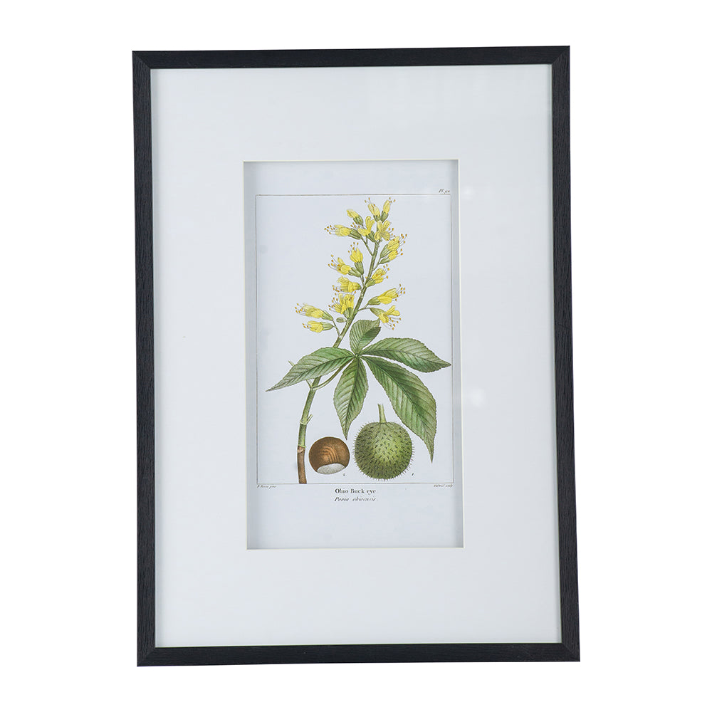 19.7x27.6" Botanical Wall Art Set of 2
