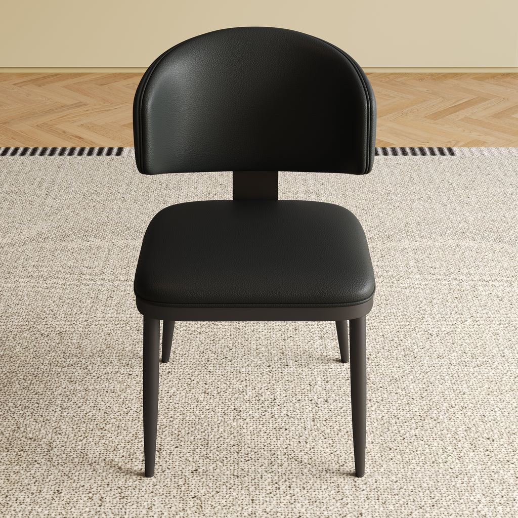 Dining Chairs Set of 2