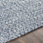 Blue Braided Faux Jute Outdoor Rug