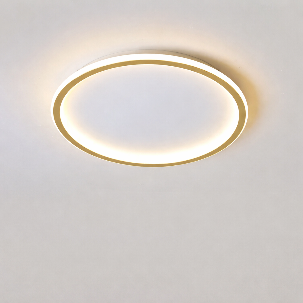 Nordic Minimalist LED Ceiling Light Circular Remote Control Bedroom Living Room