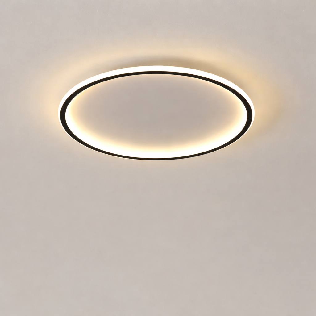 Nordic Minimalist LED Ceiling Light Circular Remote Control Bedroom Living Room