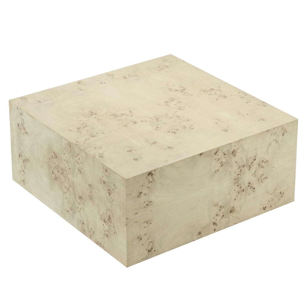 Cosmos 36" Square Burl Wood Coffee Table by Modway