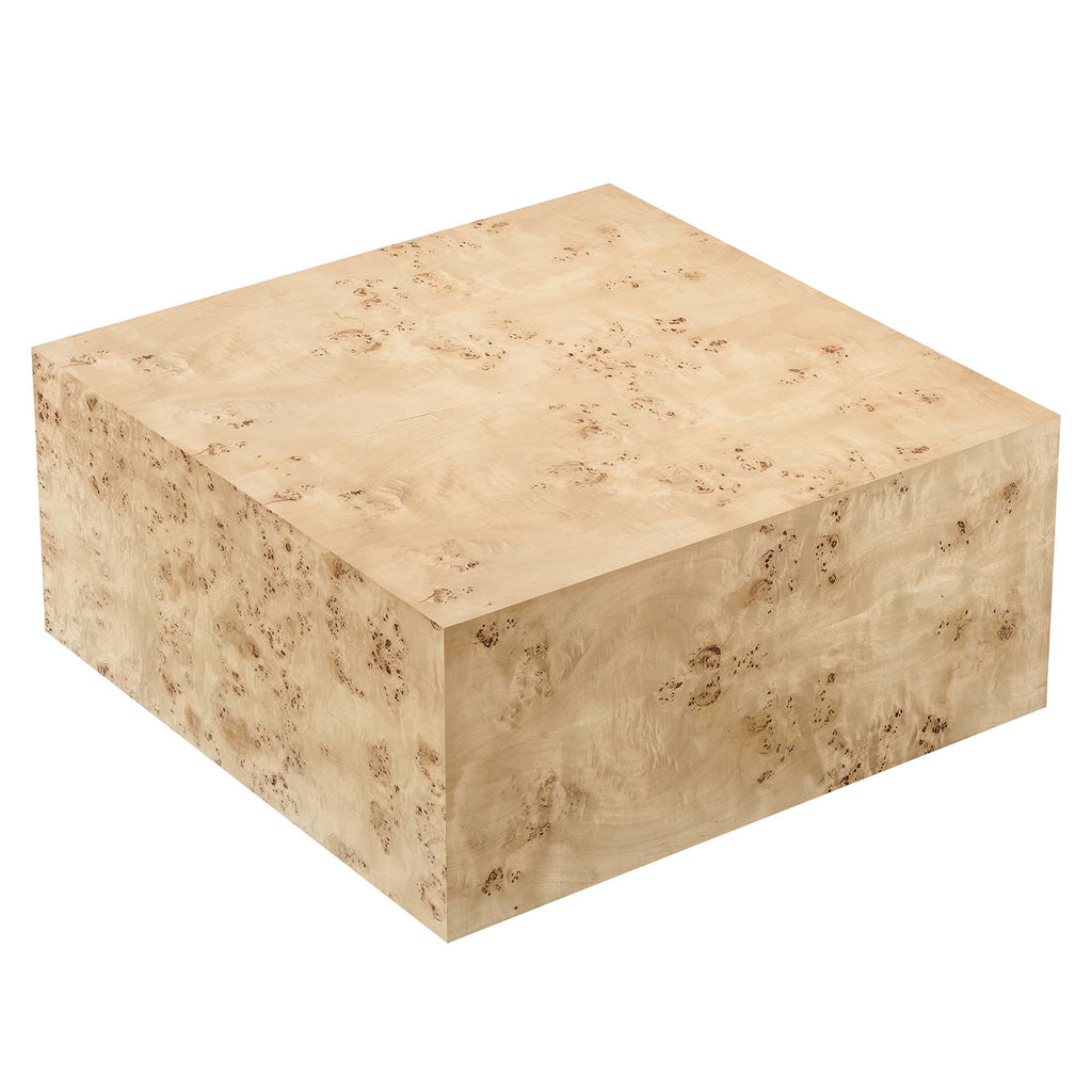 Cosmos 36" Square Burl Wood Coffee Table by Modway