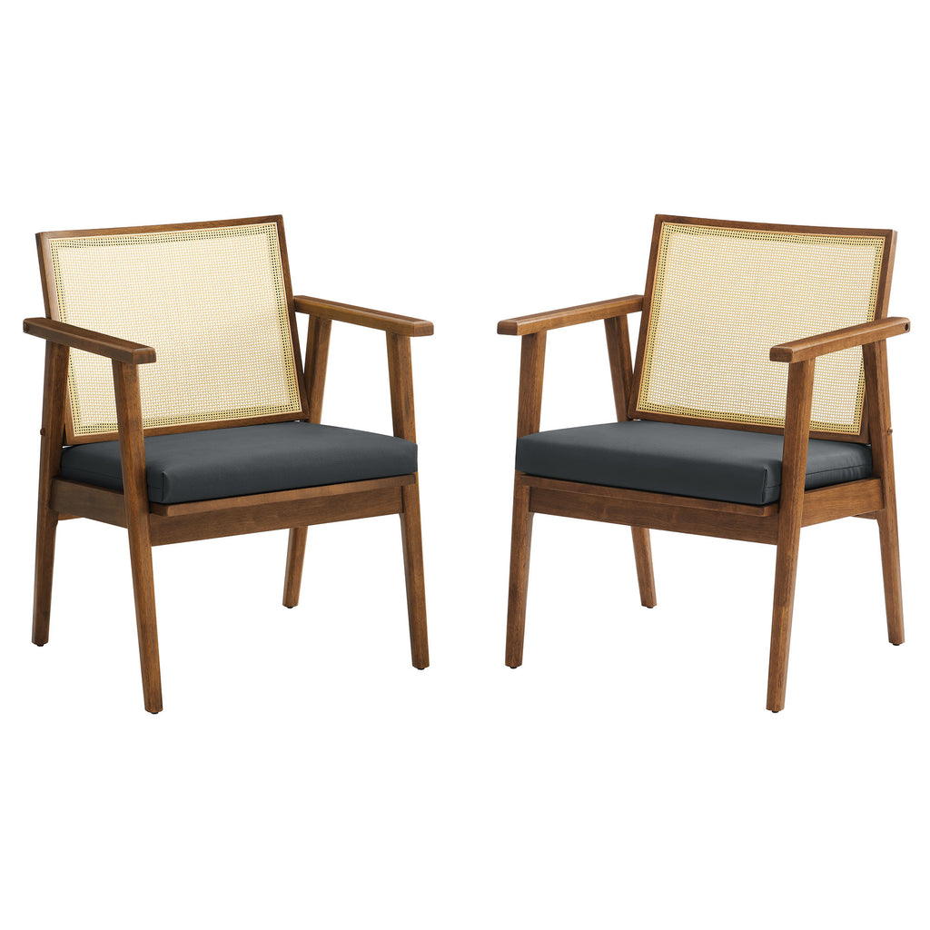 Thera Vegan Leather and Cane Accent Armchairs Set of 2 by Modway