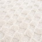 Leryn Ivory Checkered Area Rug