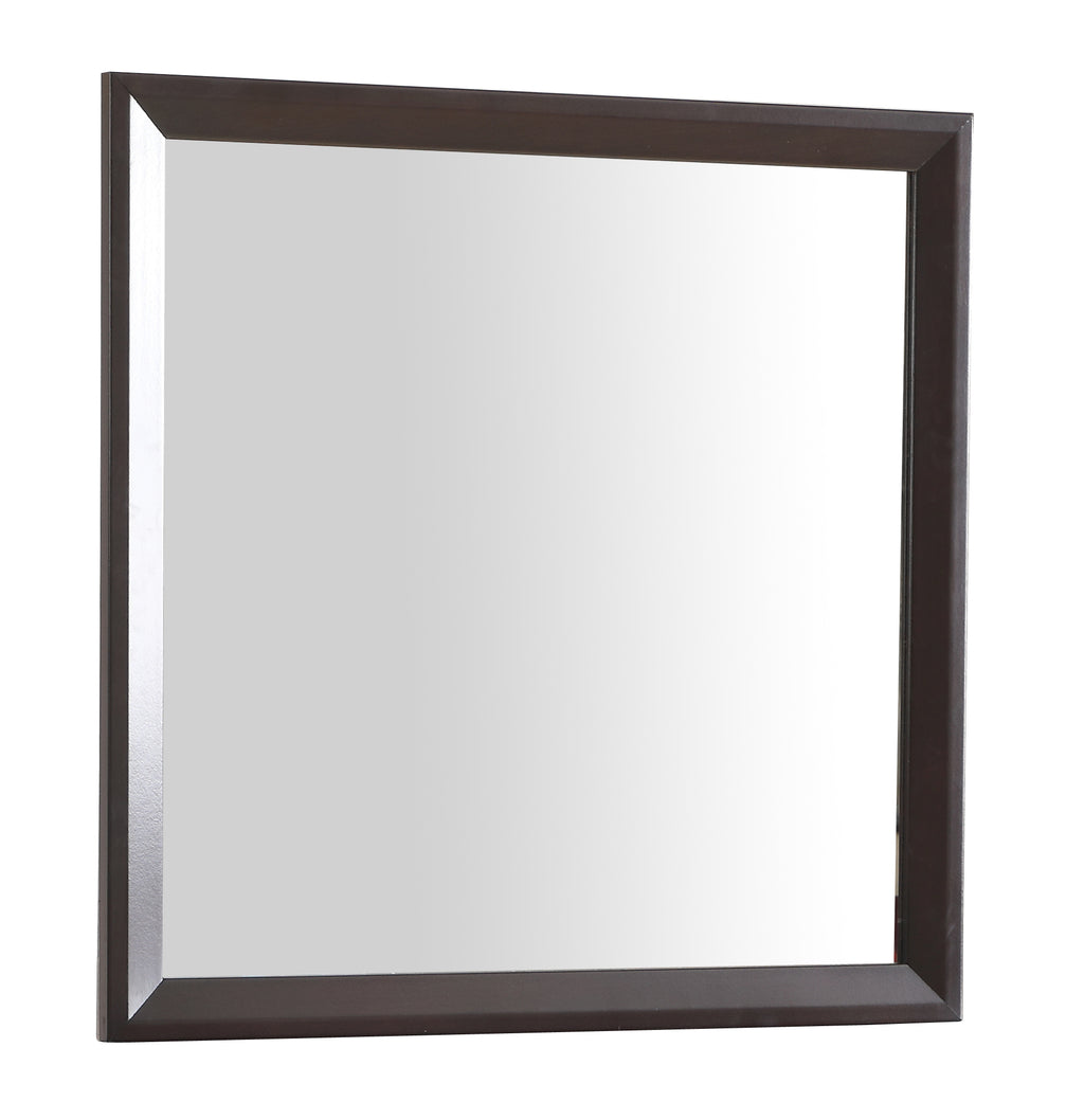 Primo G1300-M Mirror