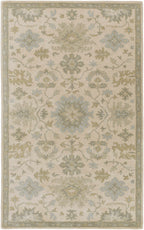 Hazen 1197 Hand Tufted Light Beige Wool Rug