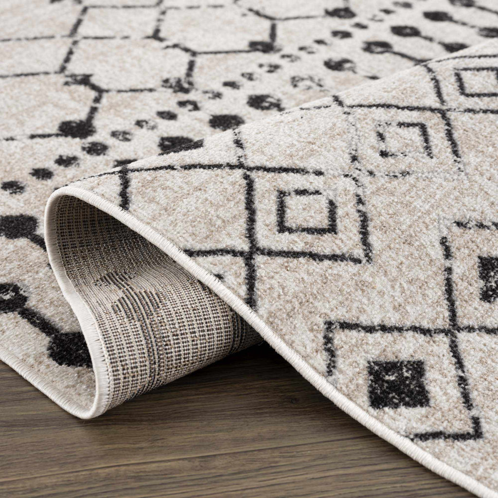 Joppatowne Washable Area Rug - Clearance