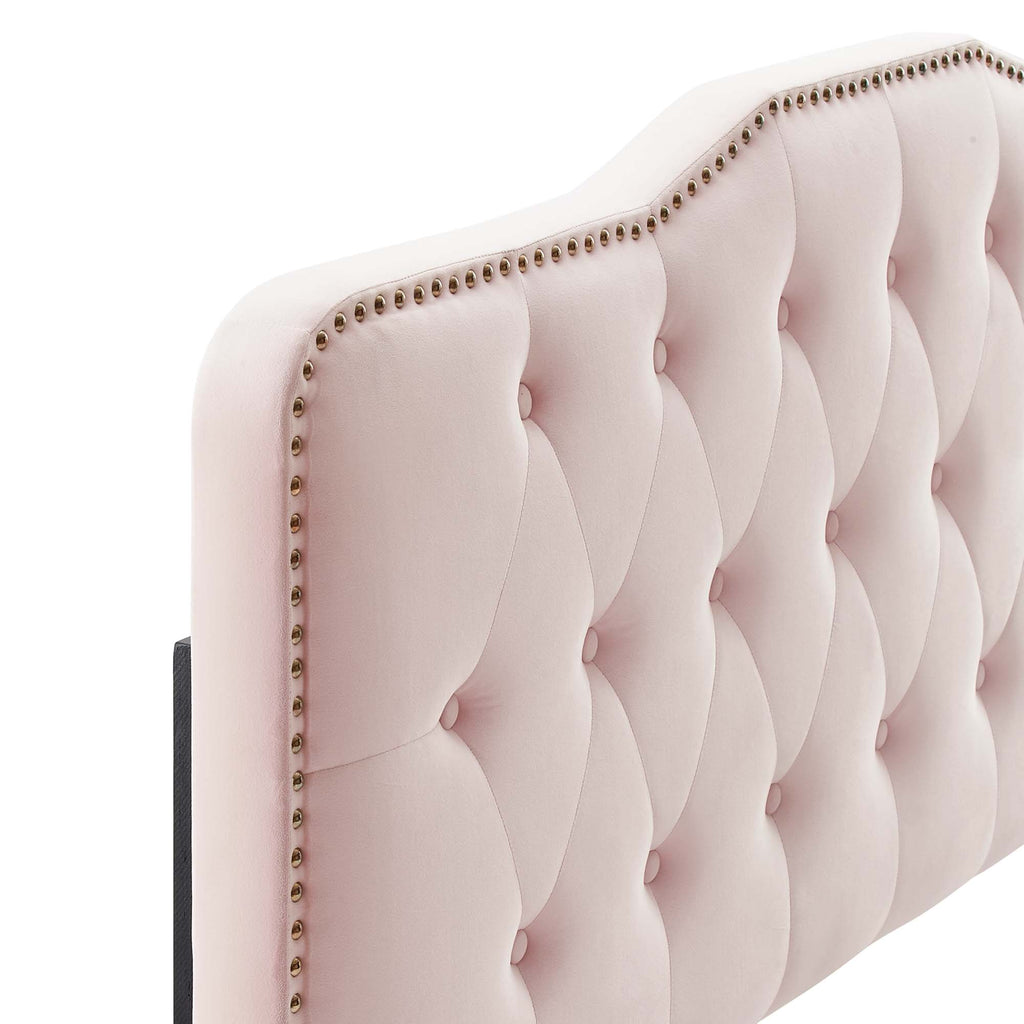 Sophia Tufted Performance Velvet Twin Headboard by Modway