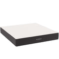 Aveline Memory Foam King Mattress by Modway