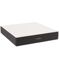 Aveline Memory Foam King Mattress by Modway