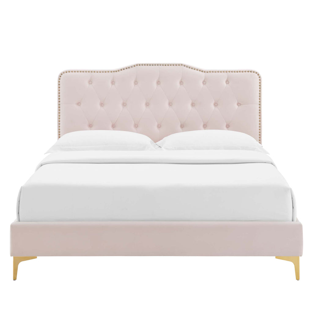 Amber Tufted Performance Velvet Twin Platform Bed by Modway