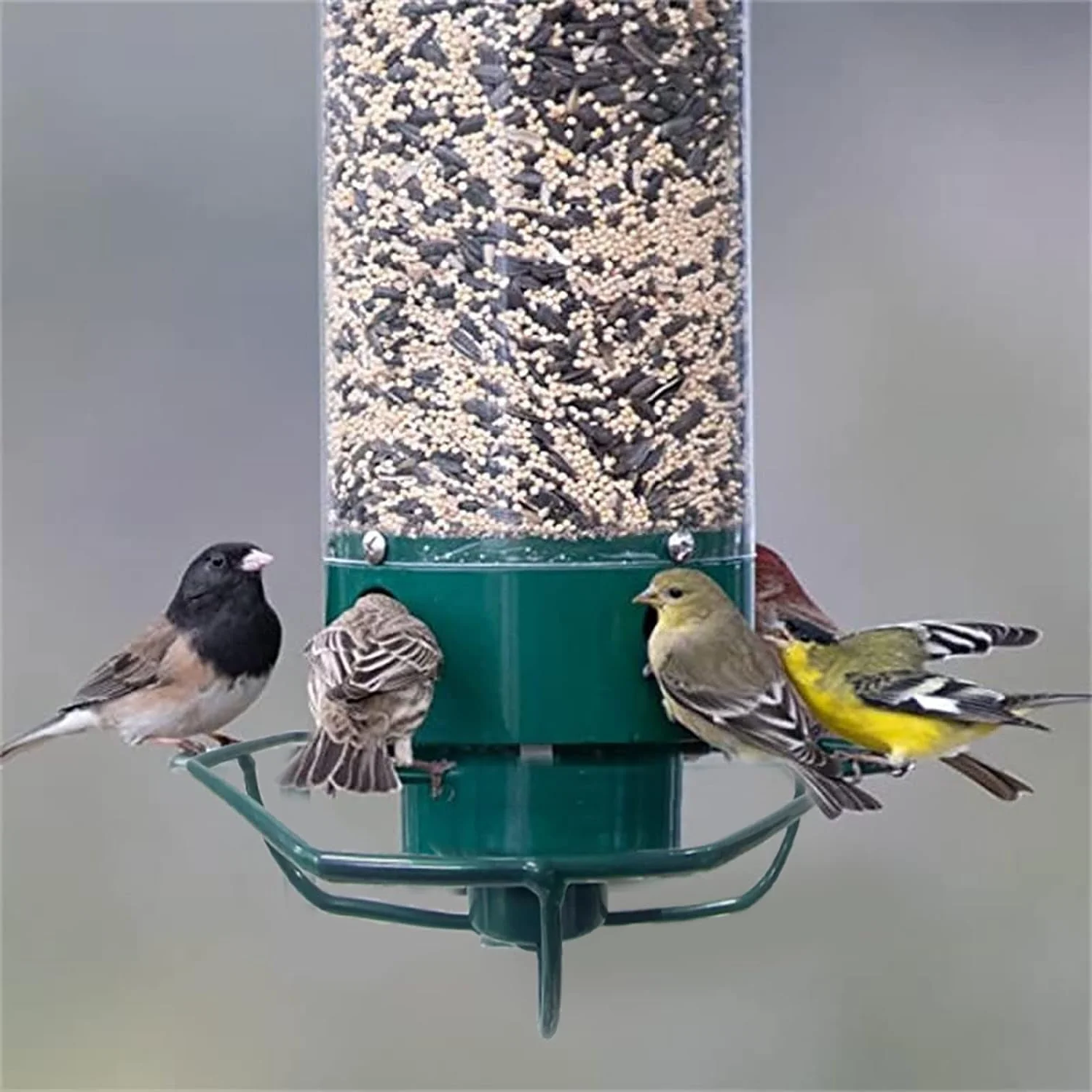 Squirrel Proof Bird Feeder Hanging Metal Wild Bird Seed Feeder 35cm
