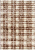 Anfisa Beige Luxe Shag Area Rug
