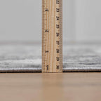 Speaks Traditional Textured Luxe Rug