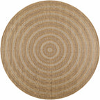 Dyami Flatweave Faux Jute Outdoor Rug