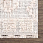 Rosales High-Low Rustic Rug