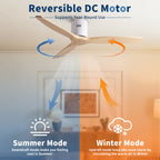 52 Inch American Modern Cozy Vibrant Fan