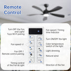 45 Inch Matte Ceiling Fan with LED Light