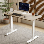 55"×24" Light Adjustable Electric Standing Desk
