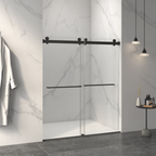 Frameless Double Sliding Shower Door