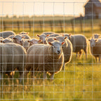 5x164 ft Advanced Weave Farm Enclosures