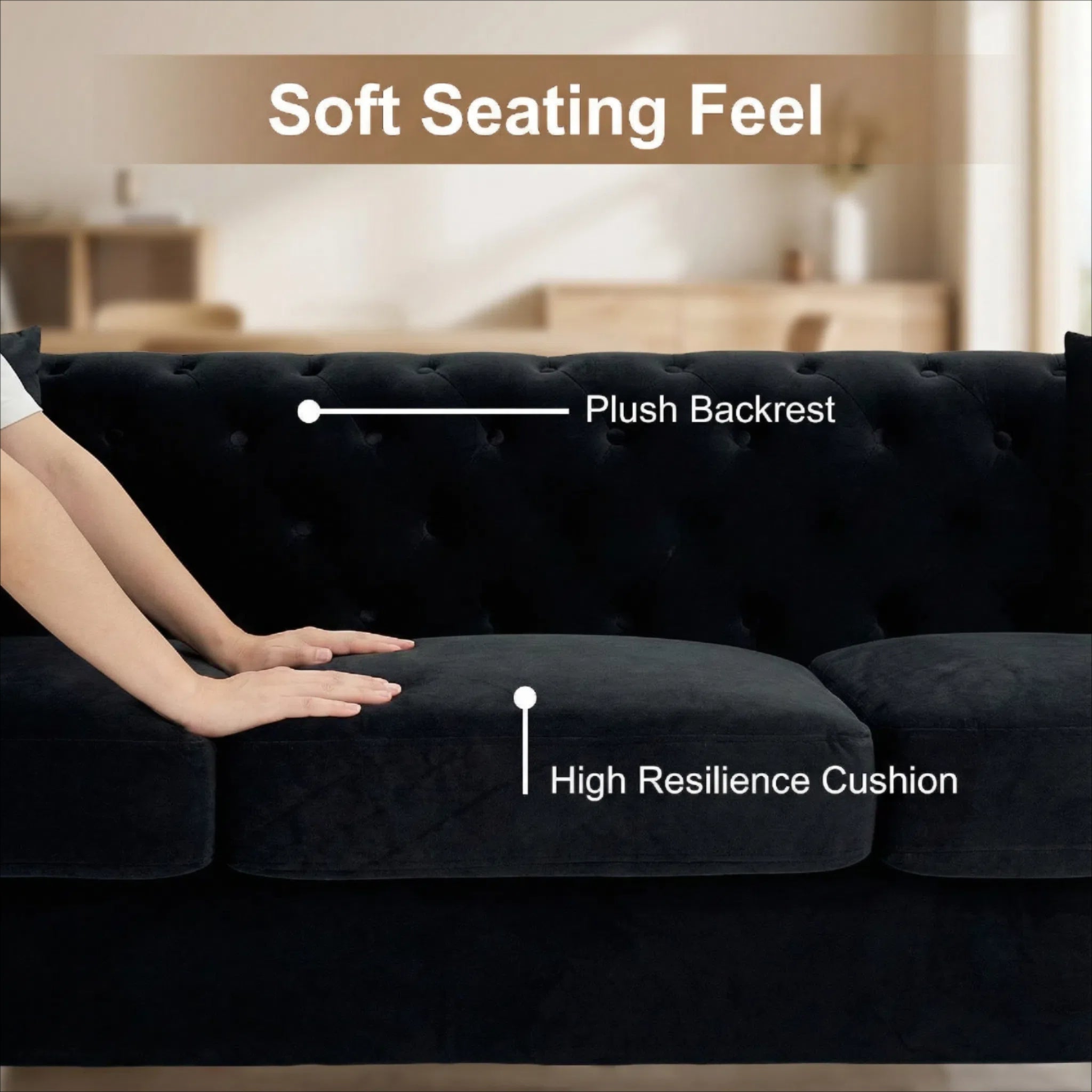 FX-P83-BK4 Contemporary Sofa with 2 Pillows