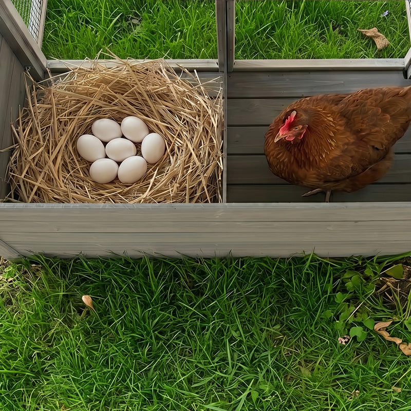 Large Chicken Coop with Run