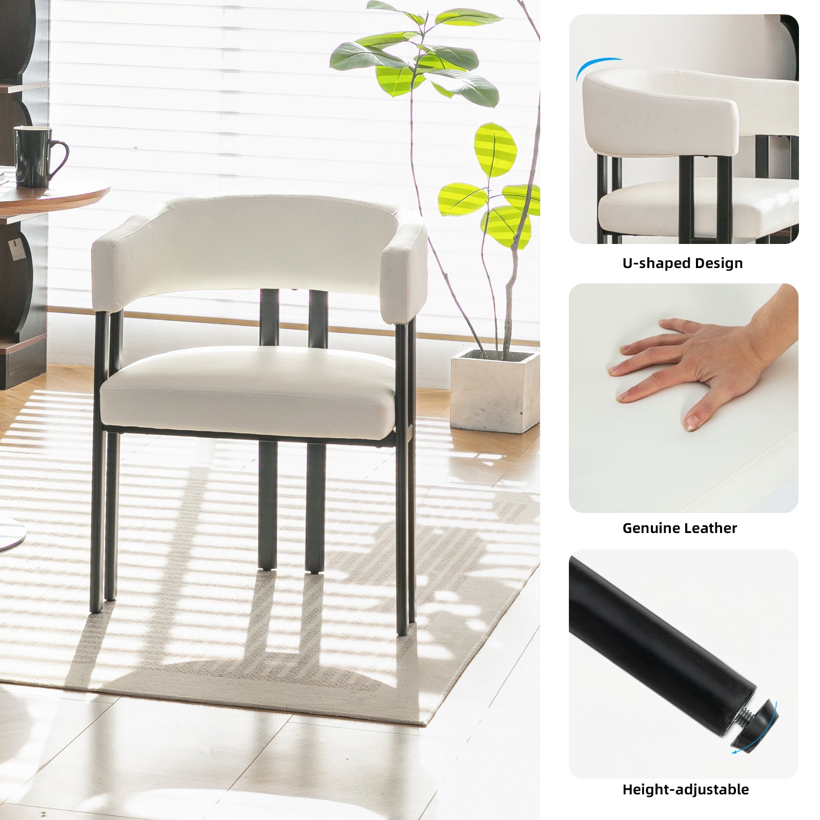 Modern Dining Chairs Set of 2