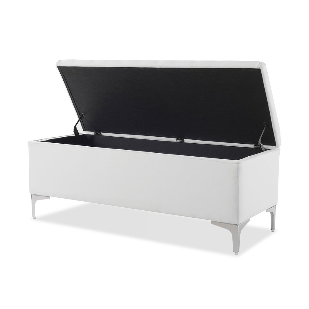 Madelyn 49" Modern Storage Bench, Bright