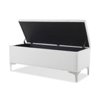 Madelyn 49" Modern Storage Bench, Bright