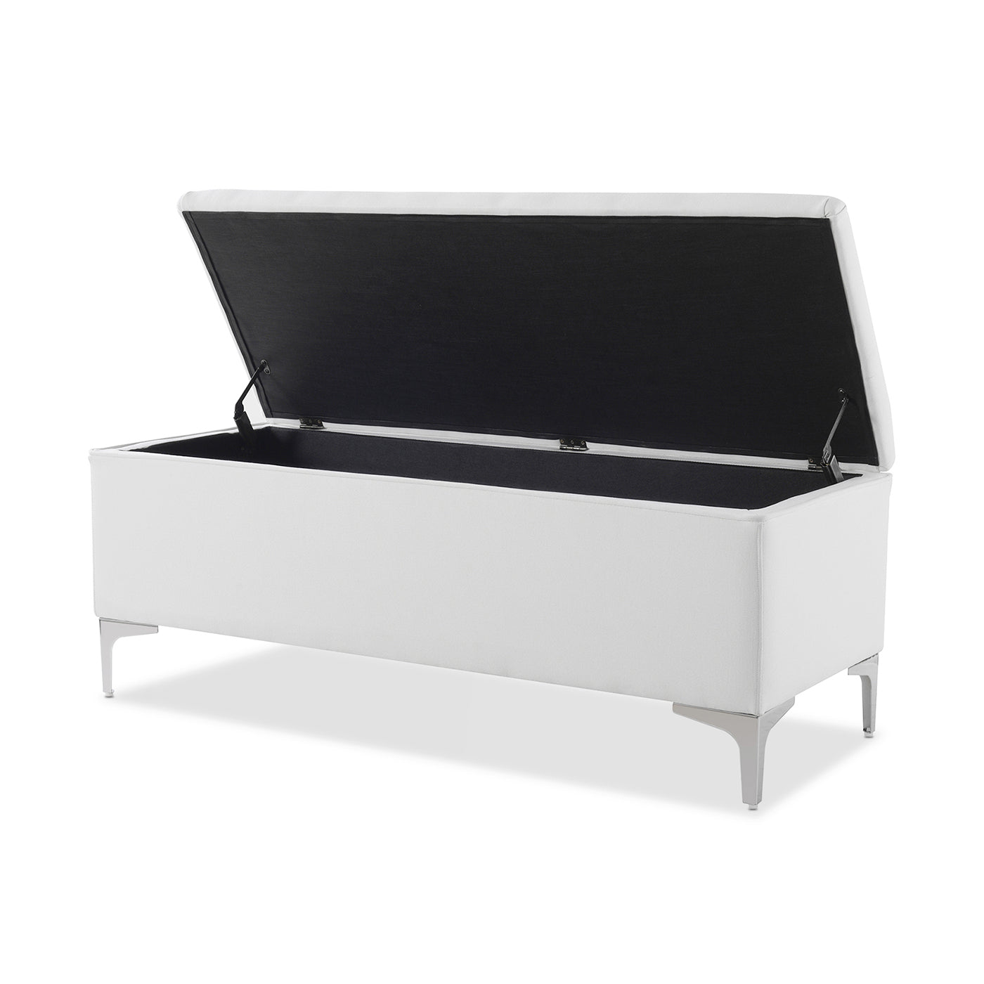 Madelyn 49" Modern Storage Bench, Bright