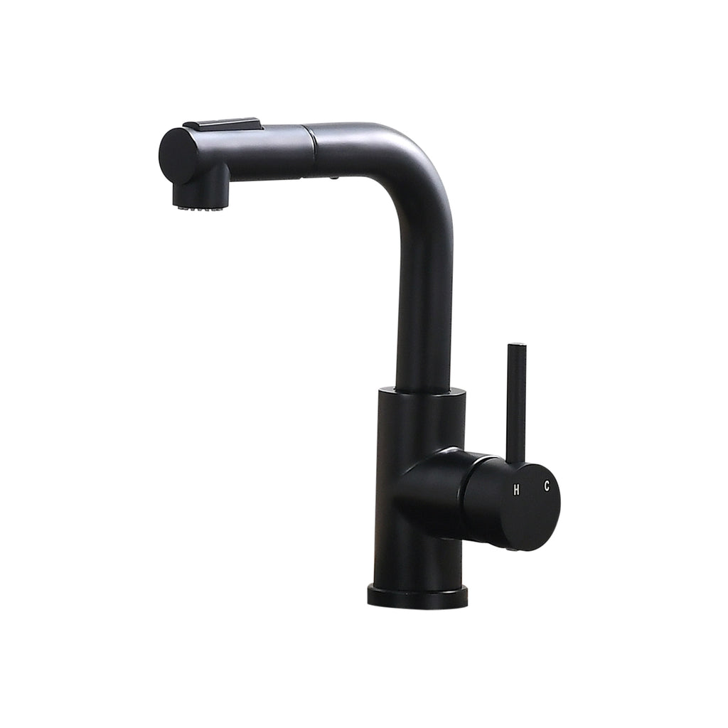 Sink Faucet