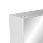 16'' x 24'' Medicine Cabinet with Mirror